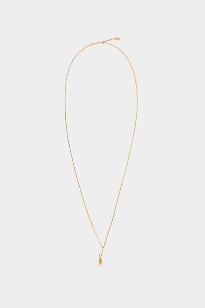 Collar con colgante D2 Collar con colgante D2
